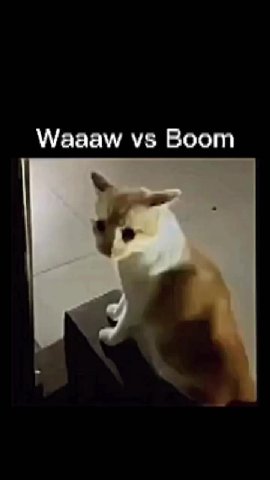 Waaaw Boom