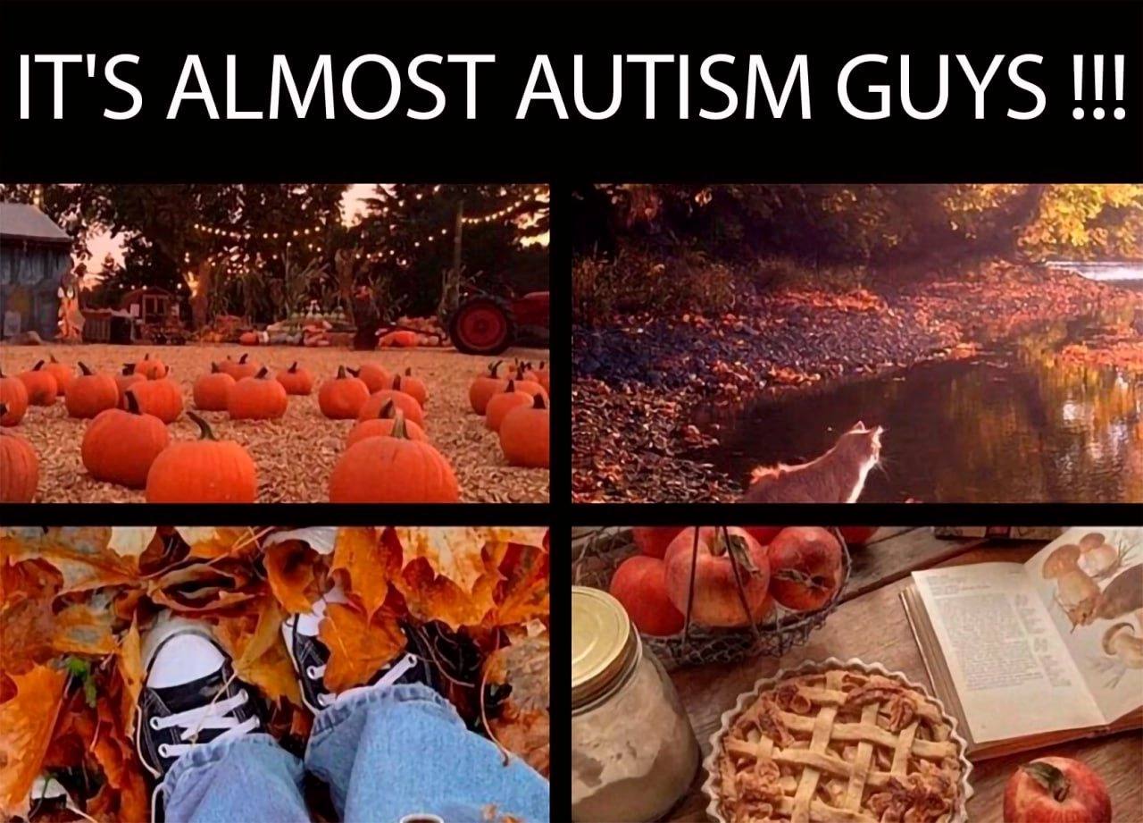 IT'S ALMOST AUTISM GUYS