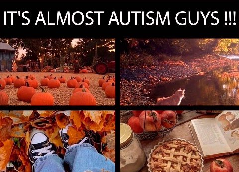 IT'S ALMOST AUTISM GUYS