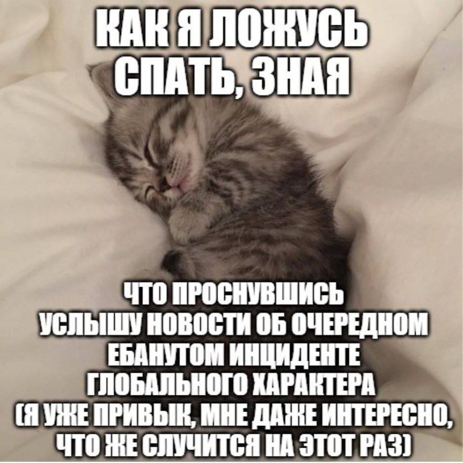 СПАТЬ, ЗНАЯ ЧТО ПРОСНУВШИСЬ УСЛЬШУ НОВОСТИ ОЧЕРЕДНОМ ЕБАНУТОМ ИНЦИДЕНТЕ ГЛОБАЛЬНОГО (ЯУЖЕПРИВЫЕ, МНЕ ИНТЕРЕСНО ЧТО НА ЭТОТ РАЗ]
