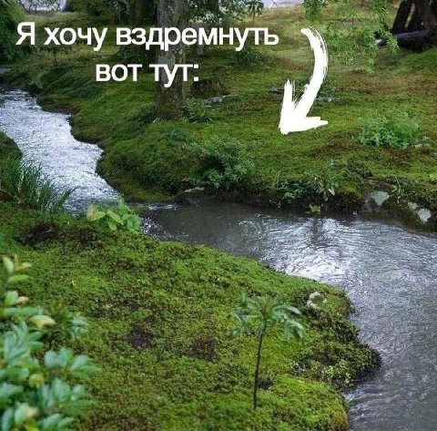 Я хочу вздремнуть вот тут: