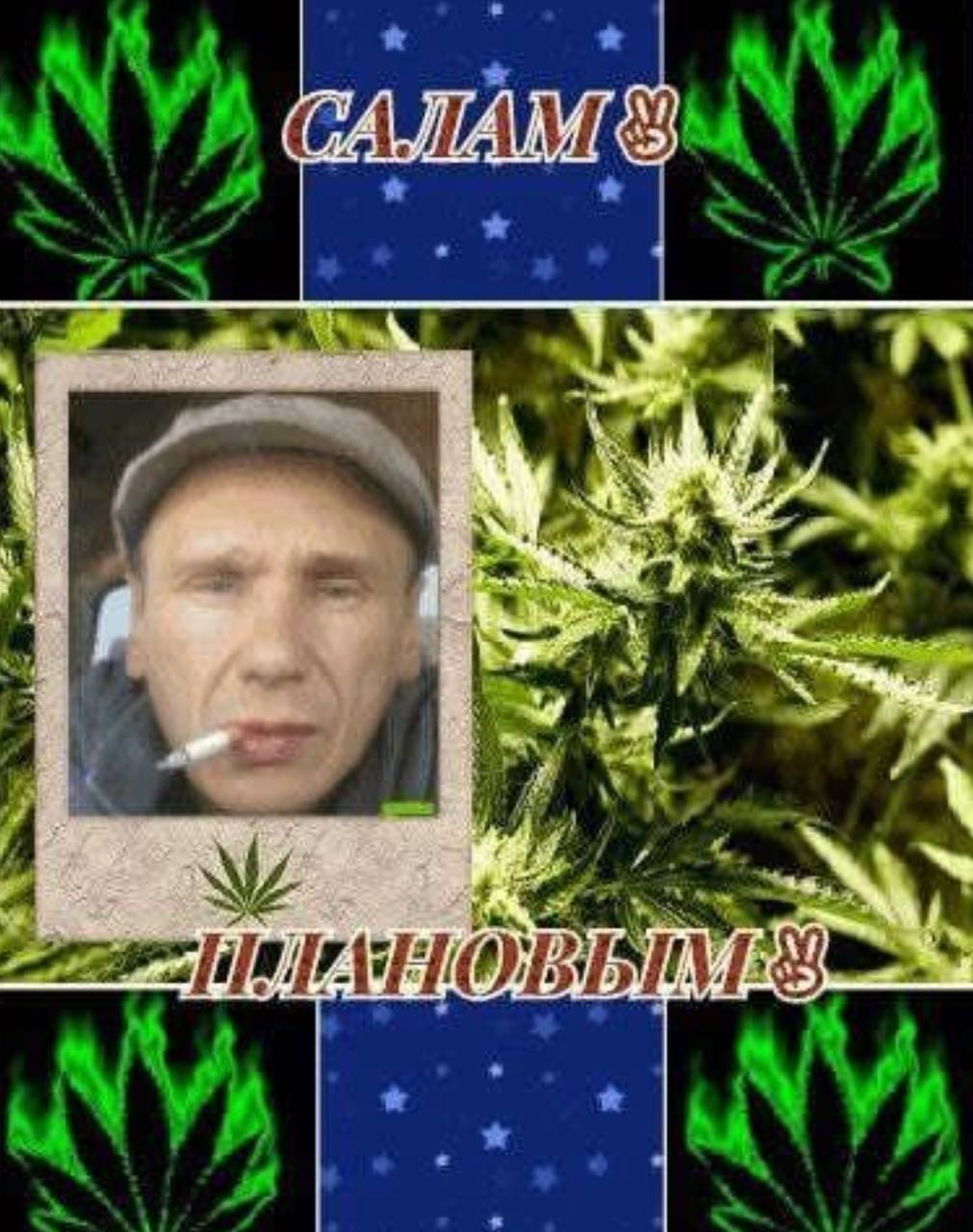 У САЛАМ wit 4