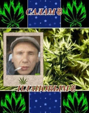 У САЛАМ wit 4