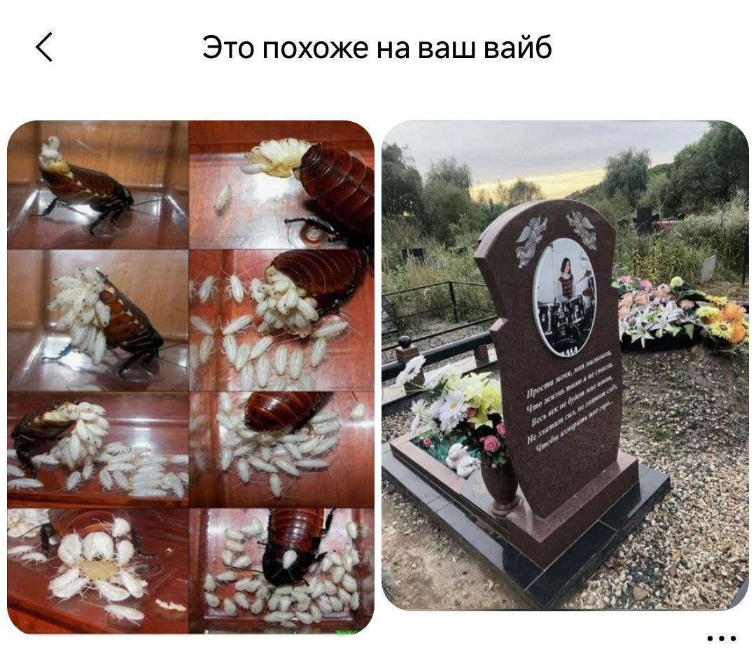 Это похоже на ваш вайб 2