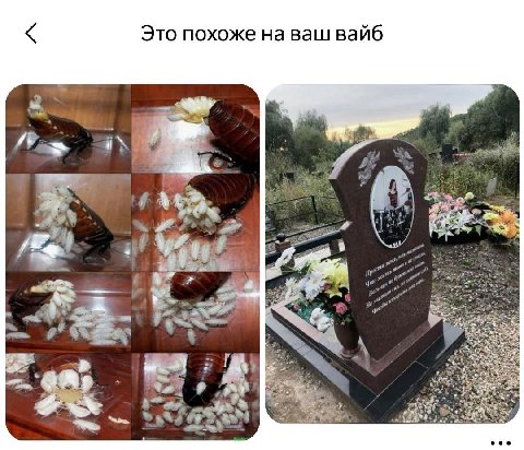 Это похоже на ваш вайб 2