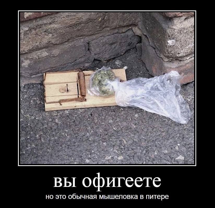 вы офигеете но это обычная мышеловка в питере