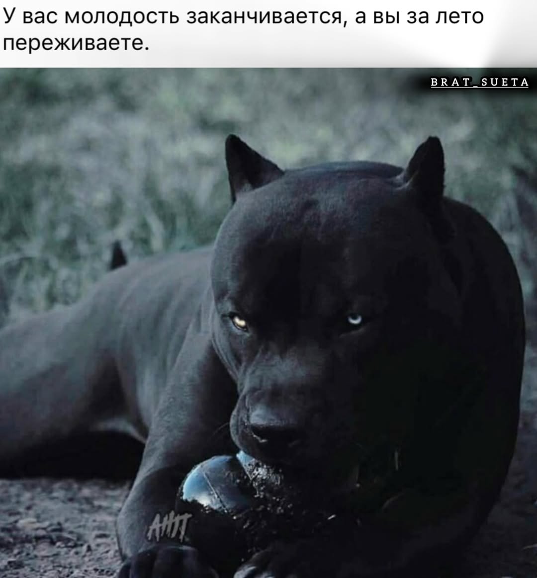 У вас молодость заканчивается, а вы за лето переживаете. ВВАТ_ЗОЕТА