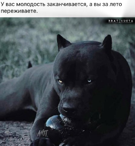 У вас молодость заканчивается, а вы за лето переживаете. ВВАТ_ЗОЕТА