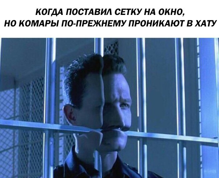 КОГДА ПОСТАВИЛ СЕТКУ НА ОКНО, НО КОМАРЫ ПО-ПРЕЖНЕМУ ПРОНИКАЮТ В ХАТУ