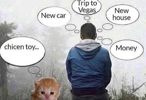 Тир to \Vegas Newcar а chicen toy...