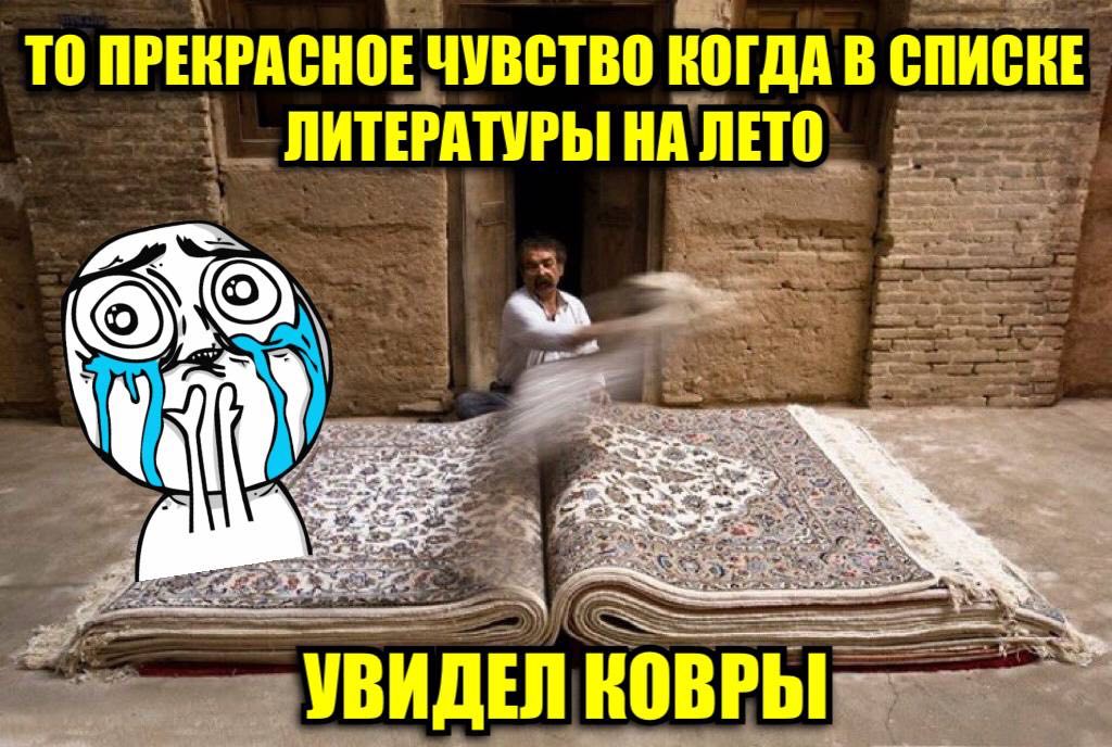 ТО ПРЕКРАСНОЕ ЧУВСТВО КОГДА В СПИСКЕ ЛИТЕРАТУРЫ НА ЛЕТО УВИДЕЛ КОВРЫ