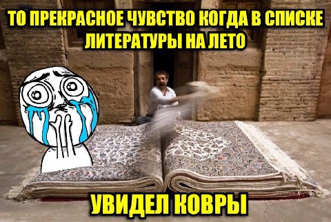 ТО ПРЕКРАСНОЕ ЧУВСТВО КОГДА В СПИСКЕ ЛИТЕРАТУРЫ НА ЛЕТО УВИДЕЛ КОВРЫ