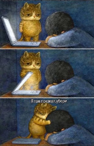 Я там покакал,убери