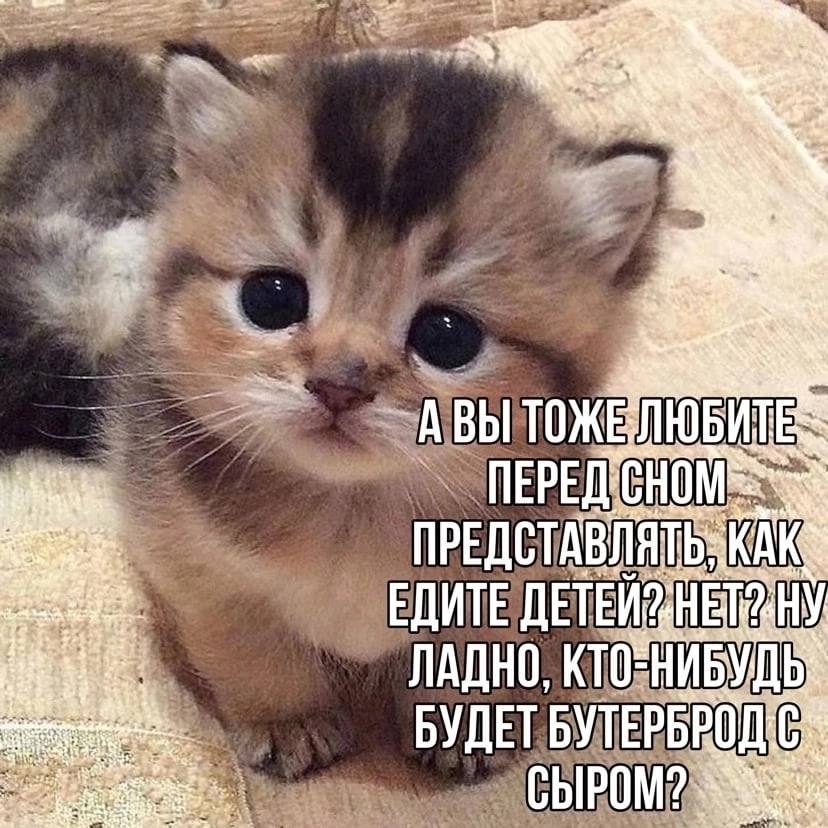 Я всё сказал.