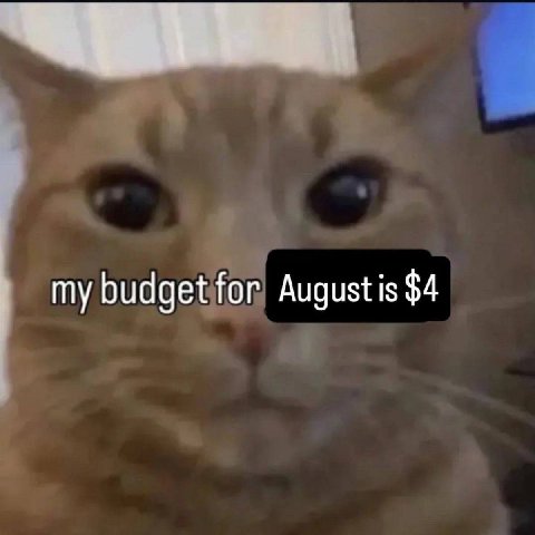 my budget for Augustis $4