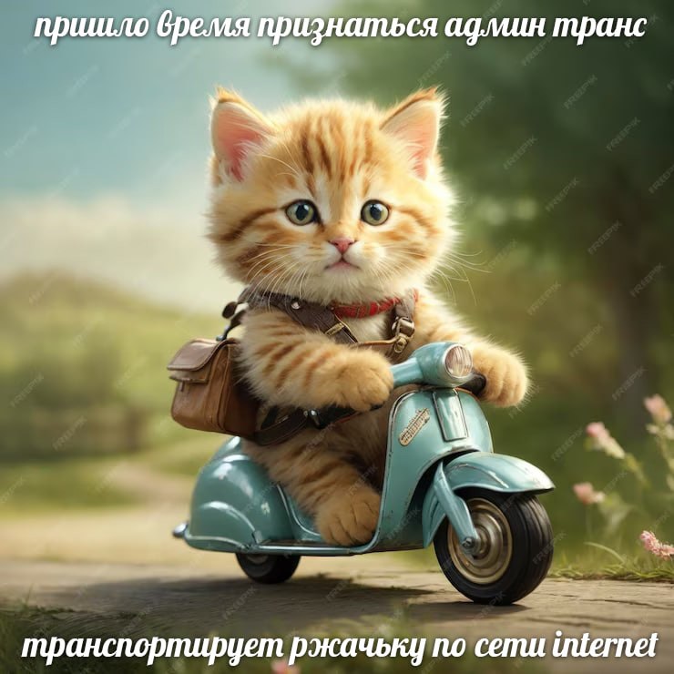 пришло бремя признаться транс транспортирует ржачьку по сети internet