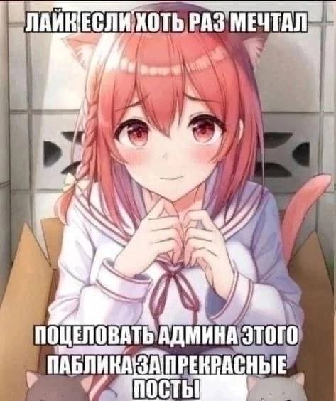 PAS ЧТАЛ awe 4 0 ПАБЛИКА 3A ПОСТЫ