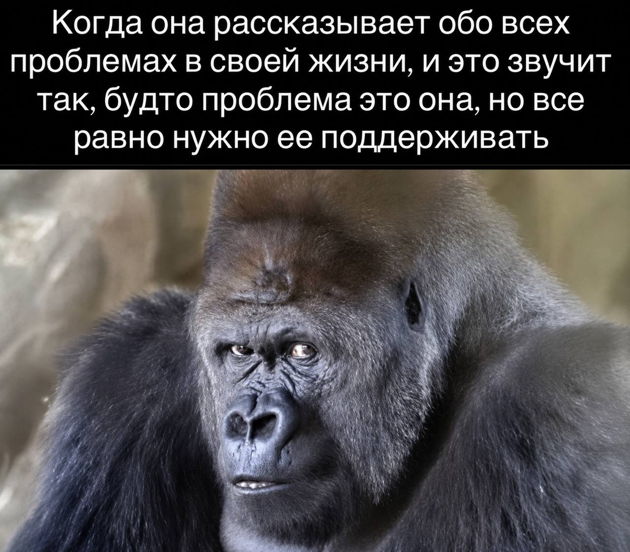 Когда она рассказывает обо всех проблемах в своей жизни, и это звучит так, будто проблема это она, но все равно нужно ее поддерживать Я