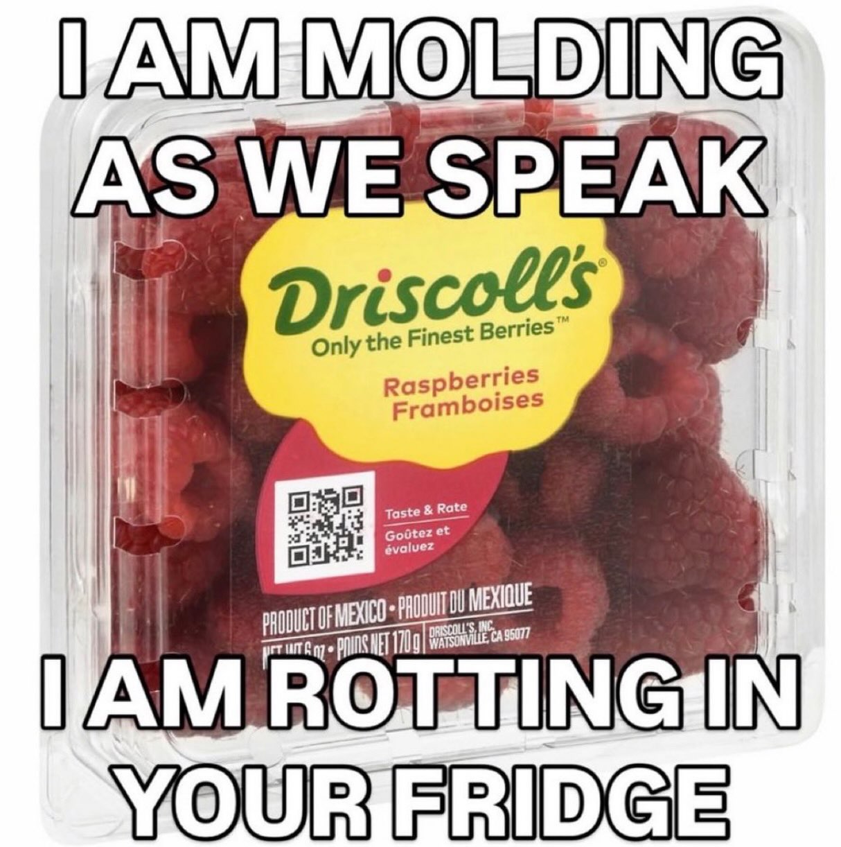 FAMIMOEDING WE SPEAK Driscolls Only the Finest В Raspb erries ramboise Я