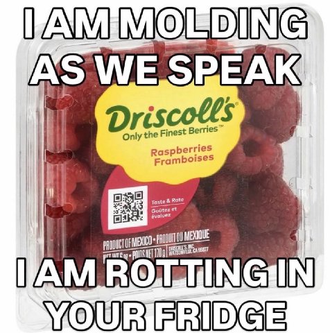 FAMIMOEDING WE SPEAK Driscolls Only the Finest В Raspb erries ramboise Я