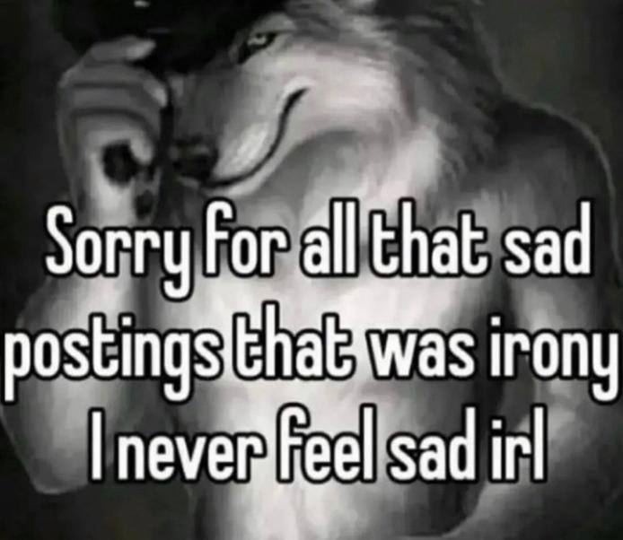 Sorry For allthat sad irony never sad irl