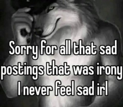 Sorry For allthat sad irony never sad irl