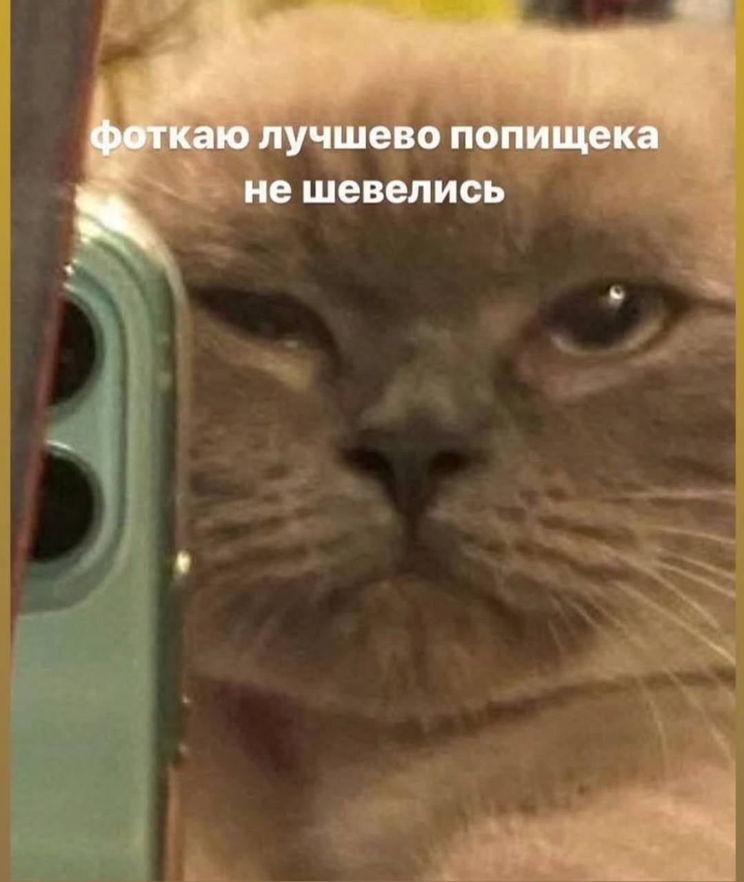 фоткаю лучшево попищека He шевелись