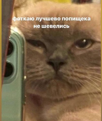 фоткаю лучшево попищека He шевелись