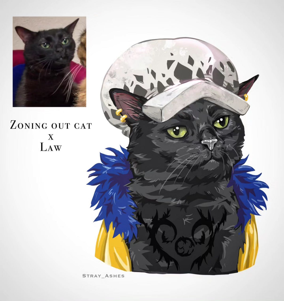 ZONING OUT CAT Law