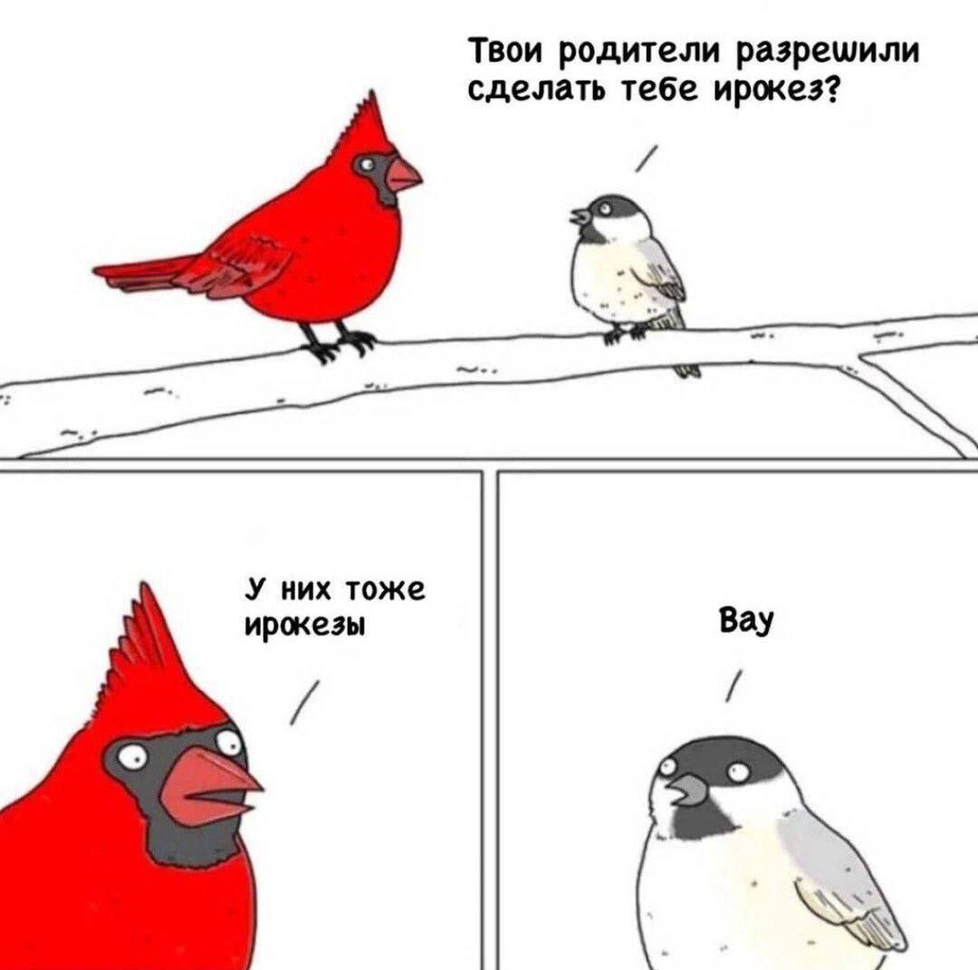 Твои родители разрешили сделать тебе ирокез? У них тоже ирокезы Вау