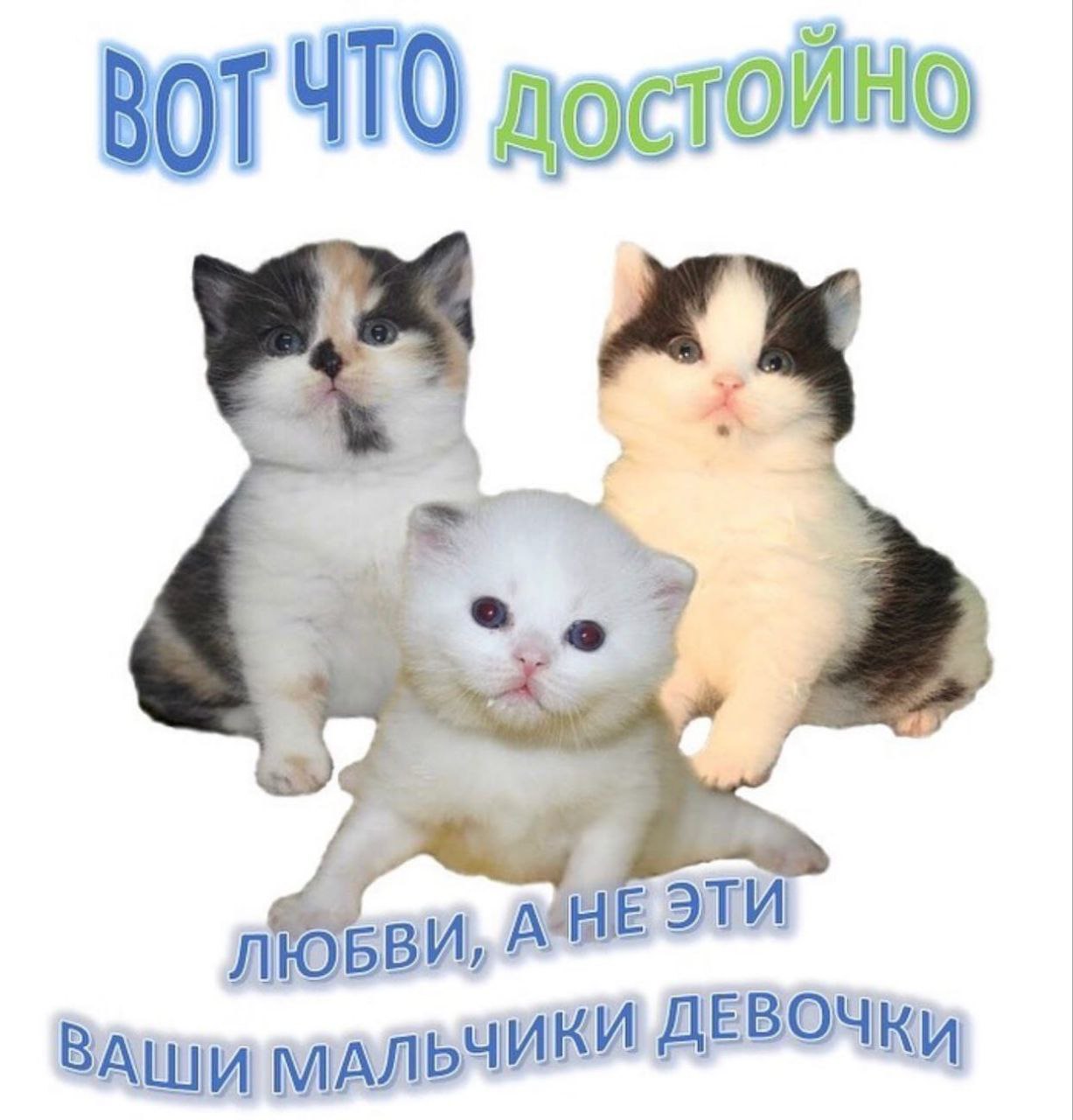 ВОТЧТО достойно ЛЮБВИ, A НЕ ЭТИ МАЛЬЧИКИ ДЕВОЧКИ