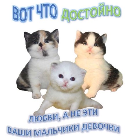 ВОТЧТО достойно ЛЮБВИ, A НЕ ЭТИ МАЛЬЧИКИ ДЕВОЧКИ
