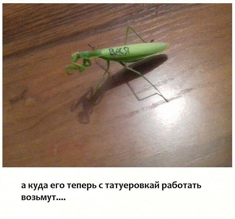 a куда его теперь с татуеровкай работать