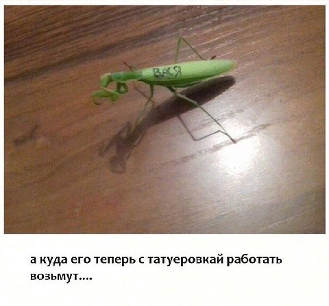 a куда его теперь с татуеровкай работать