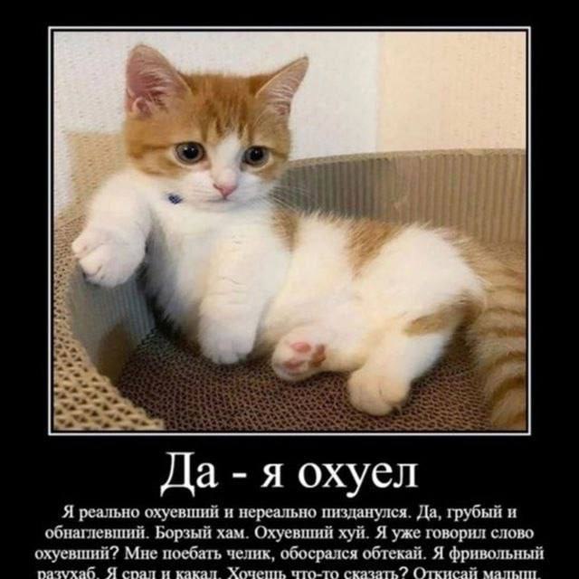 Да я охуел Я реально охуевший и нереально пизданулся. Да, грубый и обнаглевший. Борзый хам. Охуевший хуй. Я уже говорил слово охуевший? Мне поебать челик, обосрался обтекай. Я фривольный пазухаб Я спа