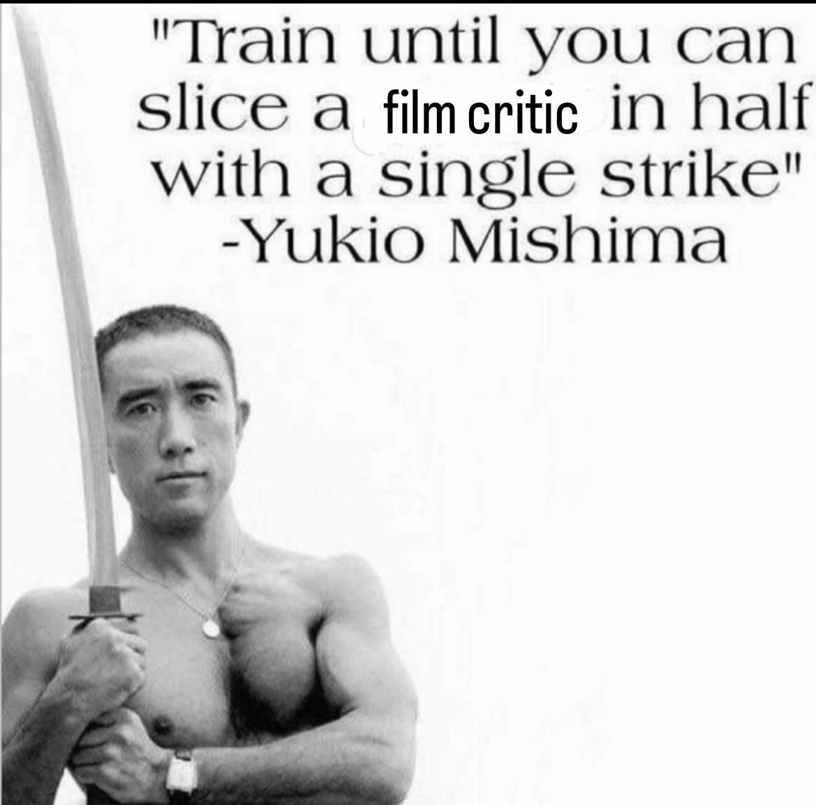 "Train until you can Slice a filmcritic in half with a single strike" -Yukio Mishima