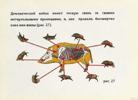Демонический кабан имеет тесную связь своими материальными проекциями, и, как правило, бессмертен пока они живы (рис. 27).