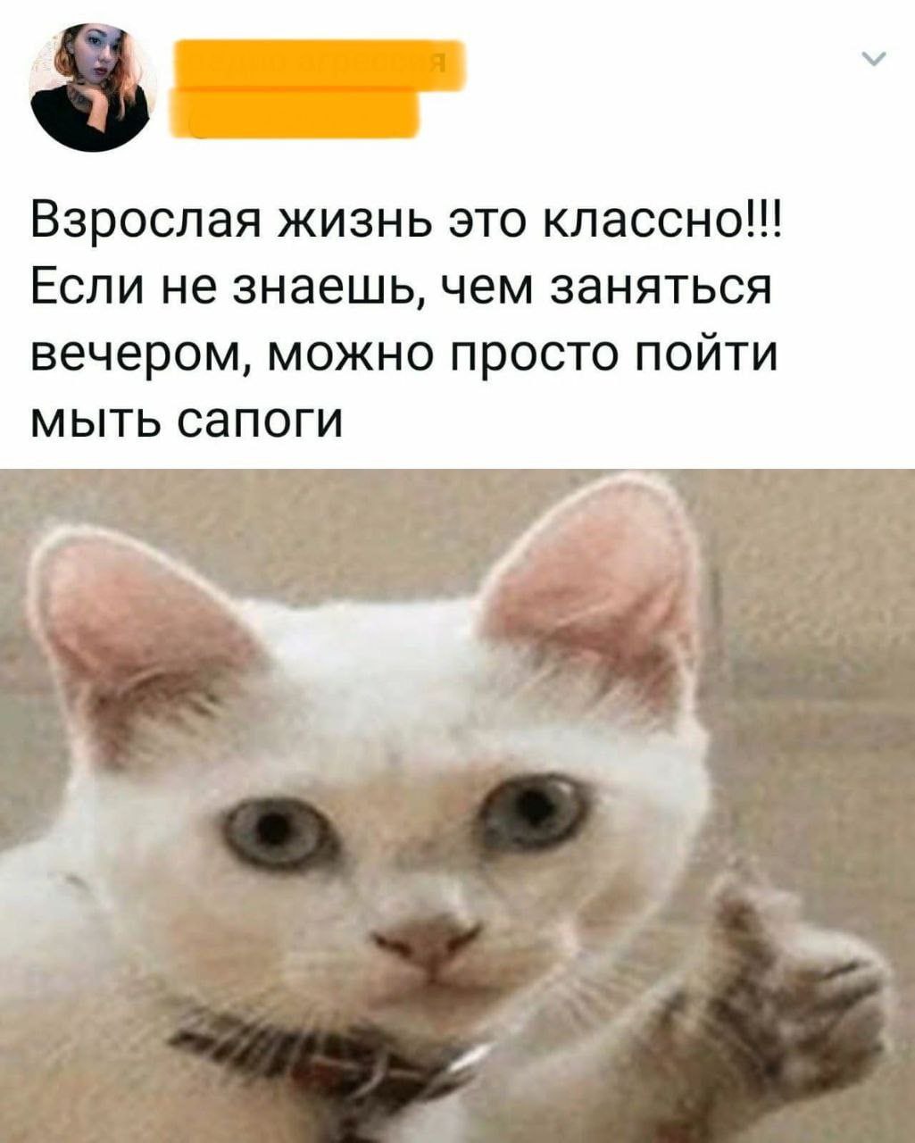 Взрослая жизнь это Если не знаешь, чем заняться вечером, можно просто пойти мыть сапоги