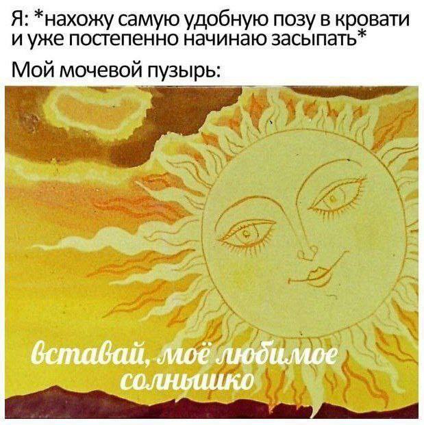 Я: *нахожу самую удобную позу в кровати и уже постепенно начинаю засыпать* Мой мочевой пузырь: