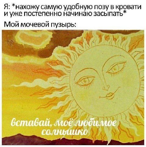 Я: *нахожу самую удобную позу в кровати и уже постепенно начинаю засыпать* Мой мочевой пузырь: