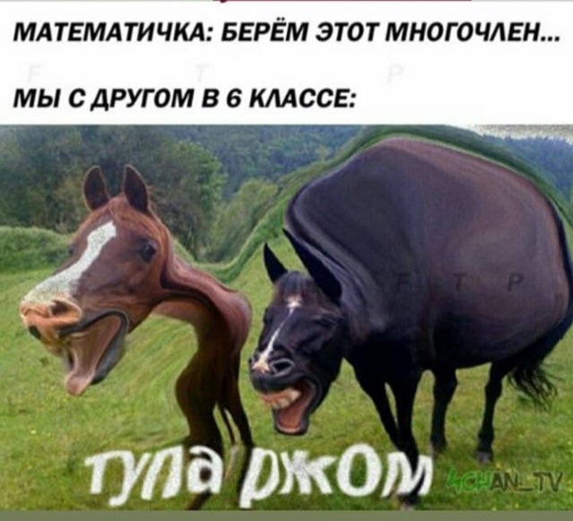 МАТЕМАТИЧКА: БЕРЁМ ЭТОТ МНОГОЧЛЕН... МЫ С ДРУГОМ В 6 КЛАССЕ: тупа ржом