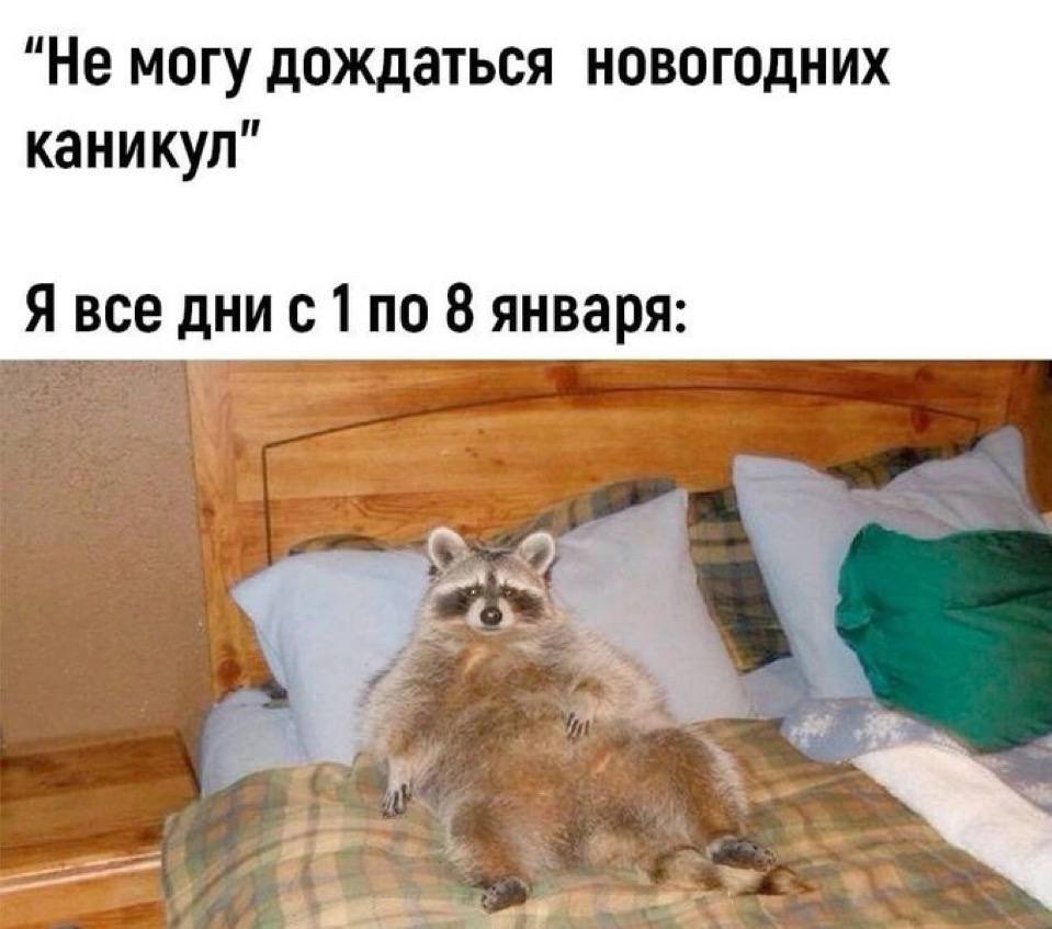 "Не могу дождаться новогодних каникул” Я все дни с 1 по 8 января: