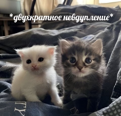 гм
