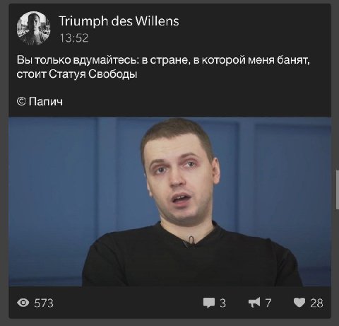 Triumph des Willens Вы только вдумайтесь: в стране, в которой меня банят, стоит Статуя Свободы Папич
