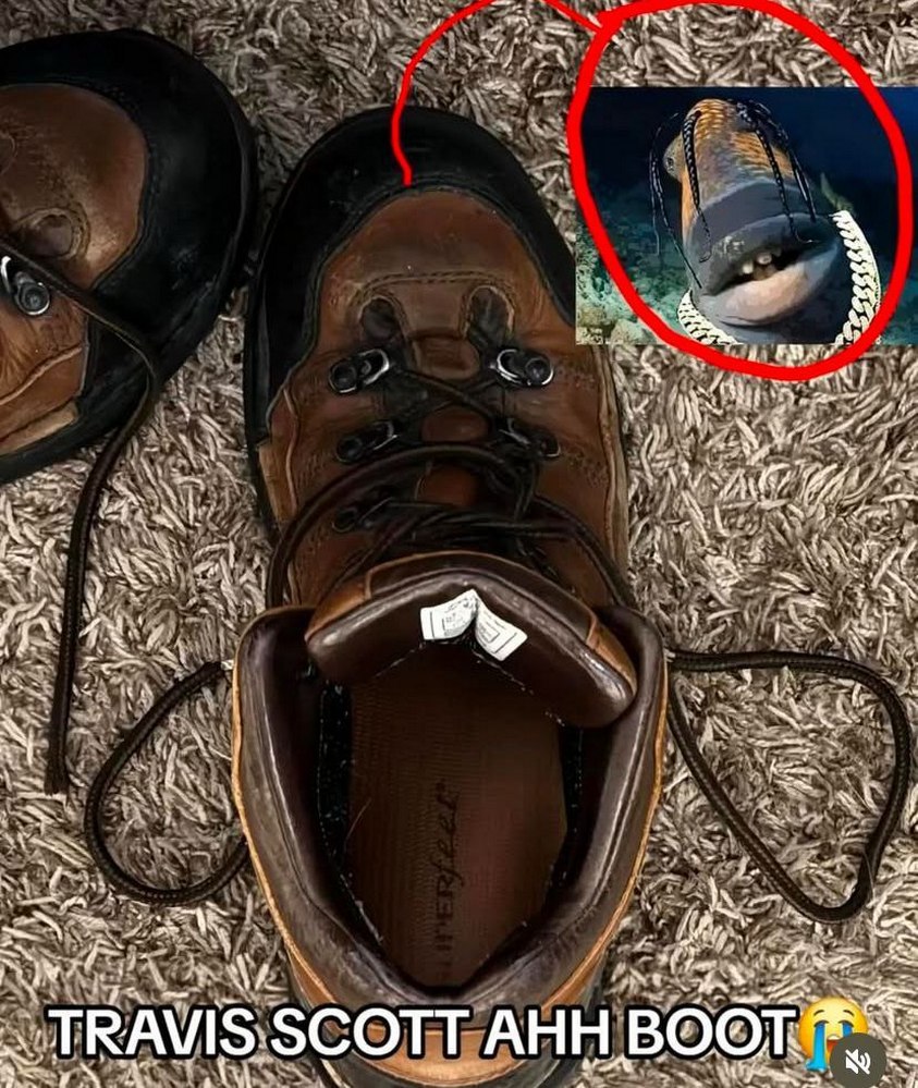 я у 7 SCOTT AHH BOOT: