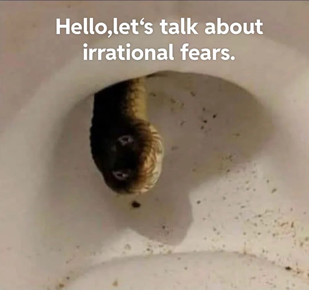 talk about irrational fears.