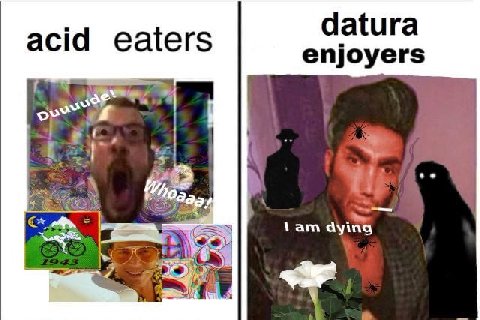 datura acid eaters lam dying 7