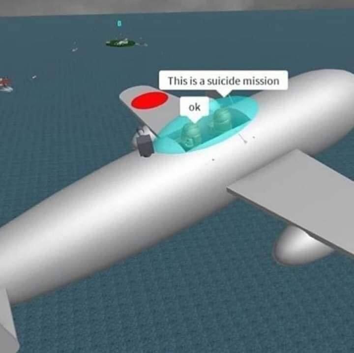 This is a suicide mission