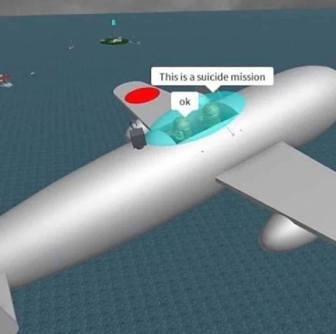 This is a suicide mission