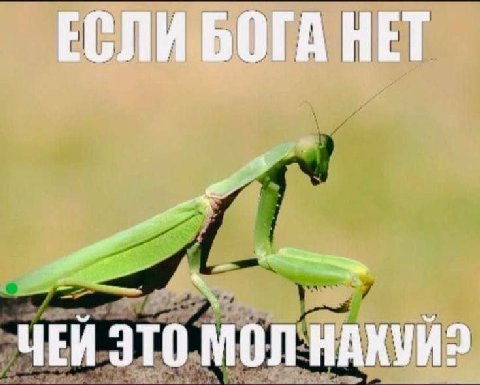 ЕСЛИ БОГА НЕТ ЧЕЙ ЭТО МОЛ